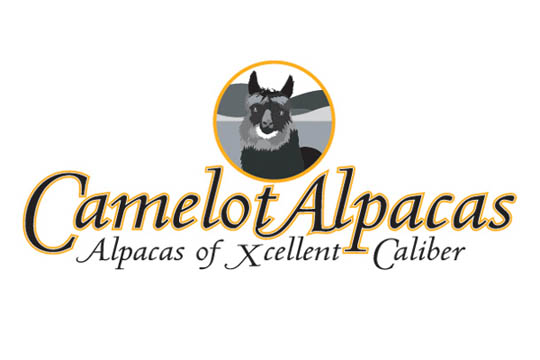 Camelot Alpacas