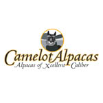 Camelot button