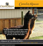 camelotsite button