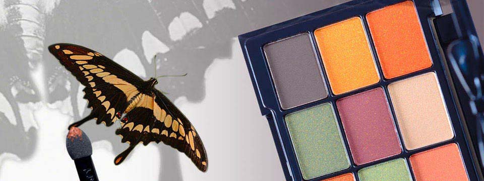 eyeshadow photo
